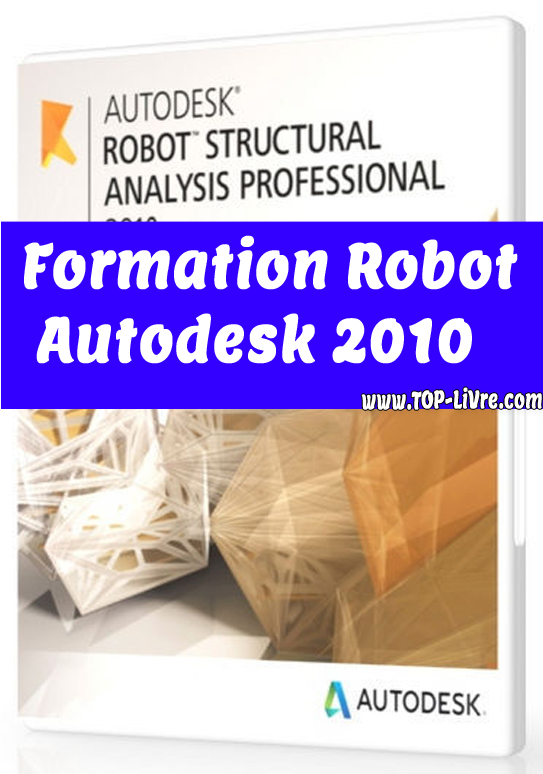 Formation Robot Structural Analysis Professional 2010